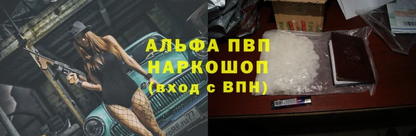 сатива Дмитриев
