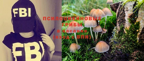 экстази Гусь-Хрустальный